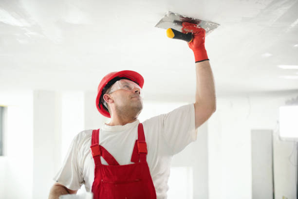 Best Biohazard Mold Removal  in Gillette, NJ