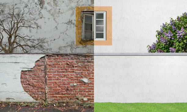 Mold Remediation for Rental Properties in Gillette, NJ