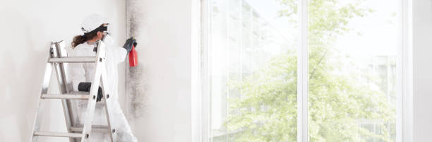 Best Asbestos and Lead Testing During Mold Inspection  in Gillette, NJ